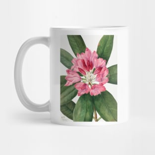 Mountain Rose Bay By Mary Vaux Walcott. Mug